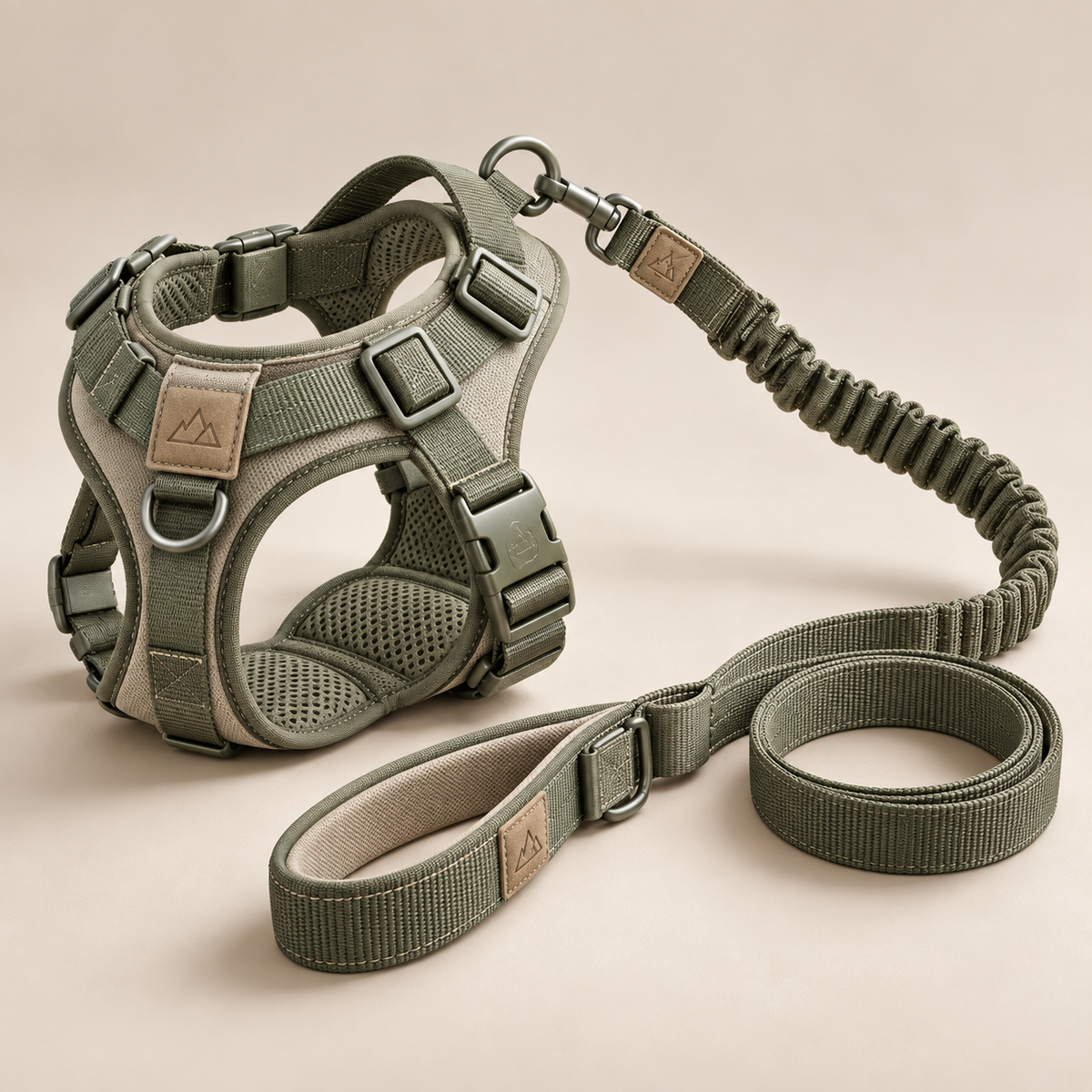 Adventure-Ready Dog Harness Set Built for Everyday Exploration
